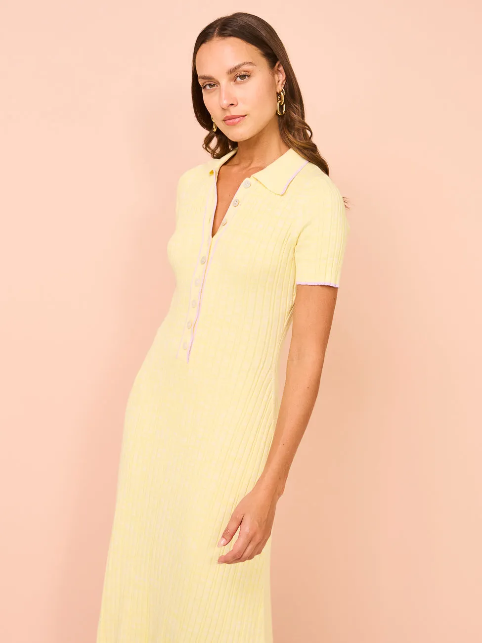 Anna Quan Penelope Dress in Yuzu/Wisteria