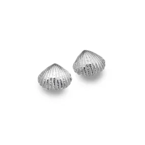 Cockle Shell Studs