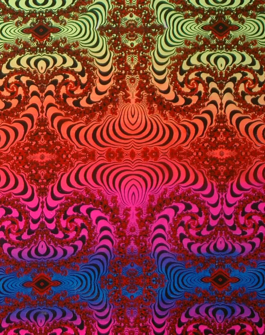 Hooded Zip Jacket : Rainbow Fractal