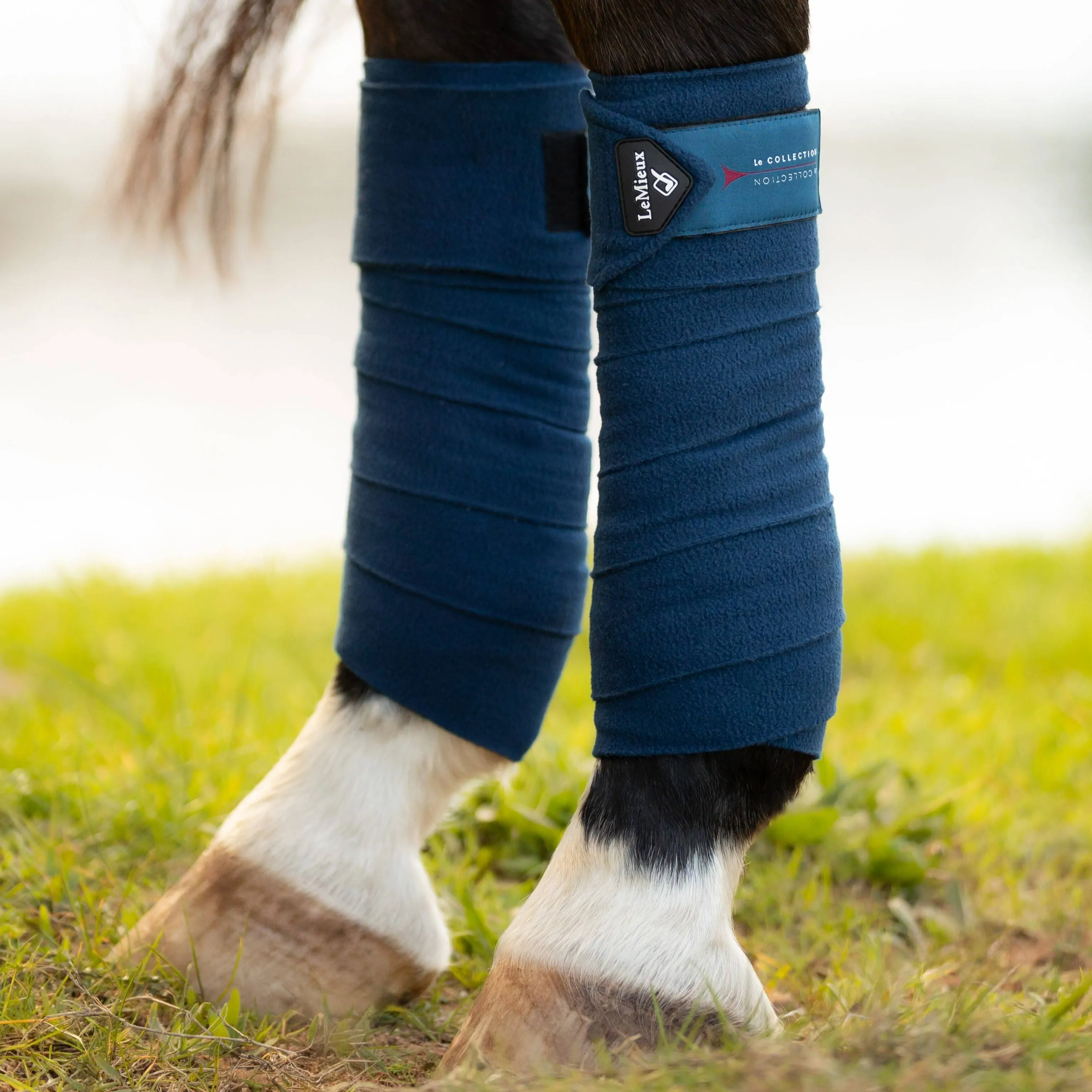 LeMieux Classic Polo Bandages