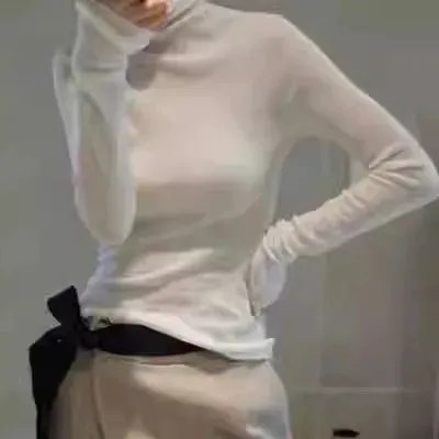 Worsted Micro Cashmere Transparent Turtleneck
